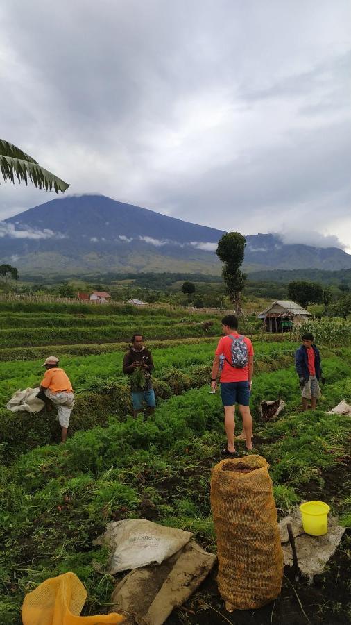 Family Rinjani Bungalow Sajang Eksteriør bilde